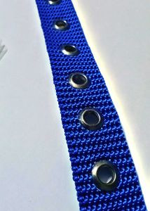 New Blue Web Belt