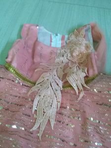 Net Baby Girl Dres Party Wear