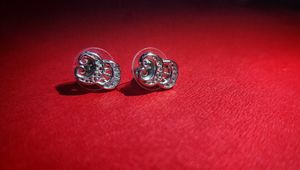 Sparkling Silver Stud Earrings