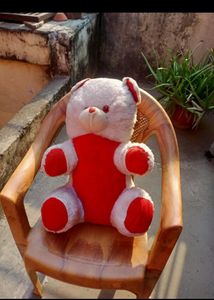 Big White Teddy Bear