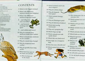 Camels Have Hump/ I Wonder Why Children Book