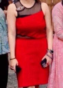 Imported Dress