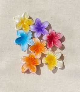 Mini claw clips (Assorted Pack Of 5)