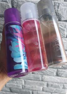 Dressberry Body Mist Combo