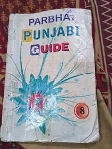Punjabi Guide - Grade 8