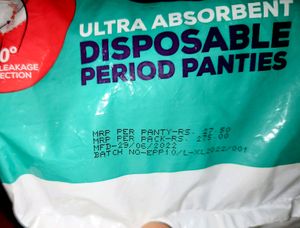 Evereve Disposable Period Panties