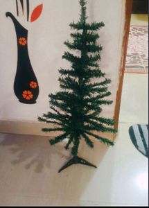 Cristmas Tree Without Decoration