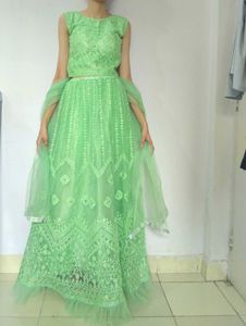 Mint Green Lehenga Choli