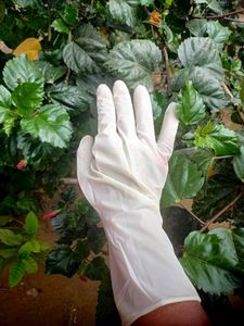 Surgical Gloves Combo 12