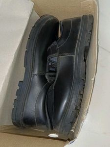 🆕 School Shoes