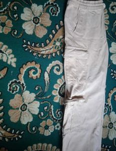 Zara Baggy Pant Cream Colour