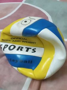 Official Size Volleyball