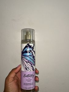 Butterfuly Papillon