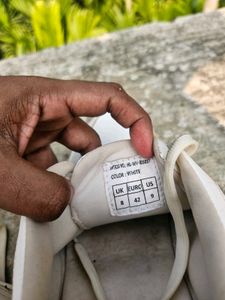 Highlander White Casual Sneakers Unisex