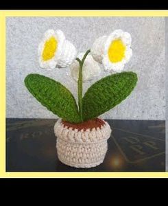 Combo Pack Lily Of The Valley And Hair Tie Po