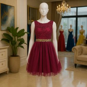 sale🥀❤️ Maroon Lace Fit & Flare Dress