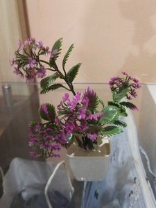 Set Of 10 Mini Artificial Plants.