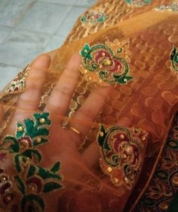 beautiful halfand half full orange saree