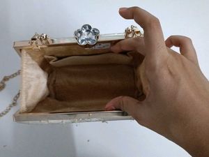 Elegant Clutch with Chain