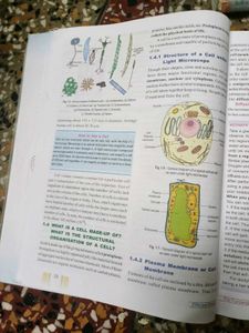Class 9th Biology Book By Dev Jyoti Publication