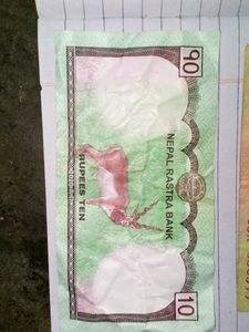 Vintage Currency Collection