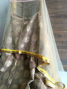 Brown & Gold Lehenga with Dupatta