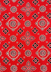 Nighty/ Dress Material (Unstitched)