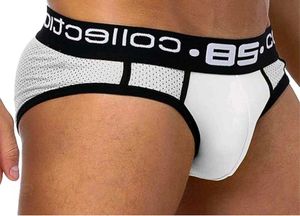 0850 Collection Brief