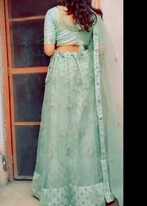 Mint Green Lehenga Choli