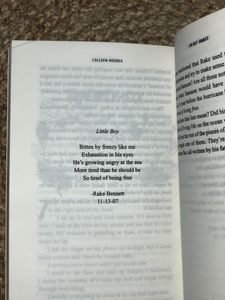Heart Bones by Colleen Hoover Book