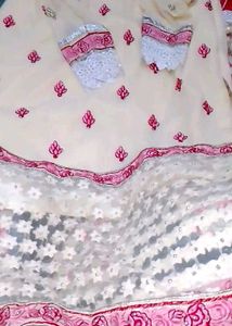 Embroidered Pakistani Suit