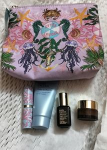 estee lauder kit