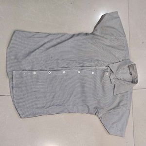 Striped Shirt