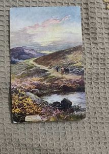 Tucks Vintage Collectable Postcards