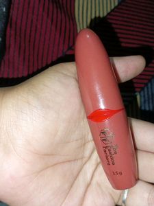 The Fashion Factory Waterproof Lipstick Dark Peach
