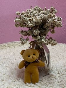 Cute Teddy Bag Charm