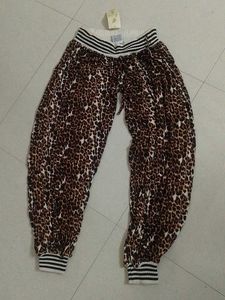 Animal Print 🐾 New Plazo. Never Used..