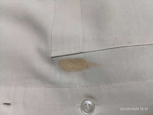 Beige Button-Down Shirt