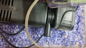 Used Aquarium with filter, stones,