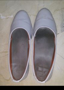 Grey Bellies