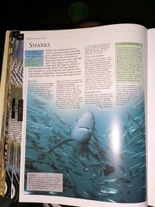 Illustrated Animal Encyclopedia