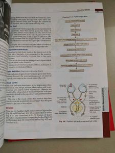 BD Chaurasia Anatomy Book Set