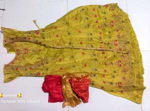 Elegant Green Anarkali Suit
