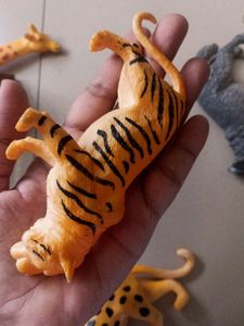 Animals