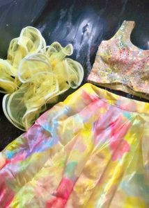 Organza Lehanga