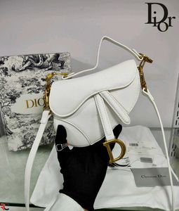Dior saddle