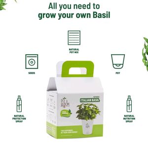 Pot and Bloom Italian Basil Plant Gardening Kit|