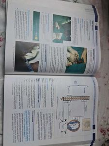 Bedside Clinics in Obstetrics