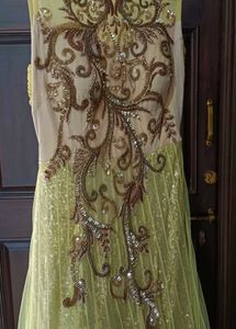 Elegant Ethnic Gown