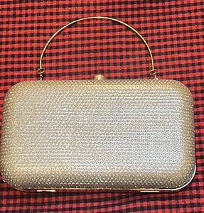Sparkly Silver Clutch